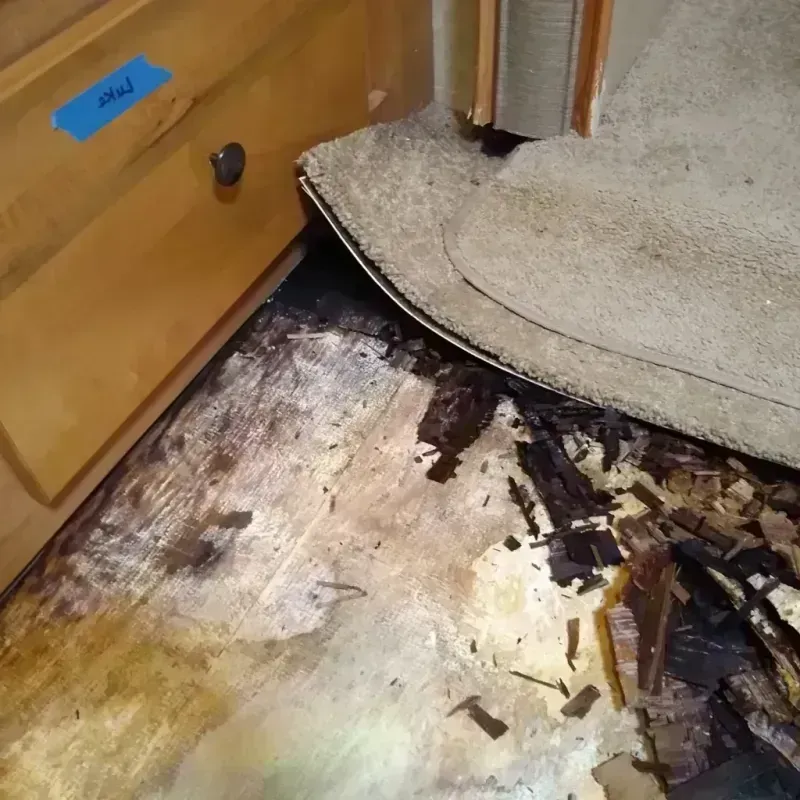 Best Wood Floor Water Damage Service in Salunga, PA